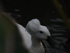 -苏州河梦清园环保主题公园