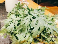 -一斗火锅·招财羊毛肚(泰吉滨江店)