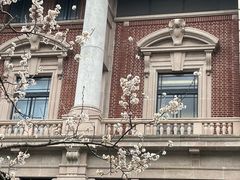 -人民公园-相亲角