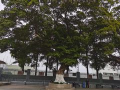 -黄埔军校旧址纪念馆