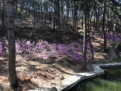 -红螺寺