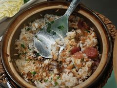-百年果林椰子鸡(中洲店)