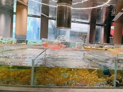 -顺风山庄(水濂山店)