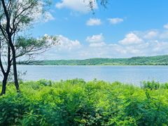 -沈阳森林动物园