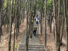 -阳台山森林公园