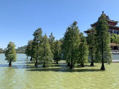 -顺峰山公园