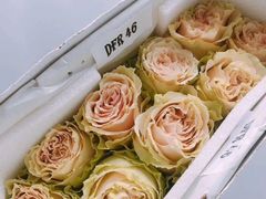 -BOBLOOM花店(宝龙旭辉广场店)