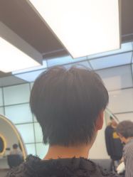 -YESIDO椰岛造型