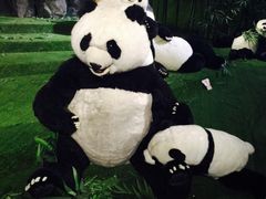 -成都泰迪熊博物馆