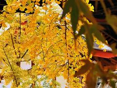 -古大圣慈寺