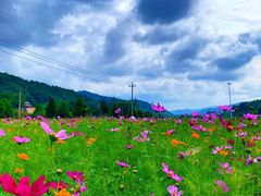 -玉华宫景区