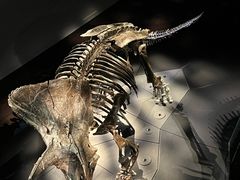 -墨尔本博物馆(Melbourne Museum)