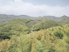 -宁波浙东大竹海景区