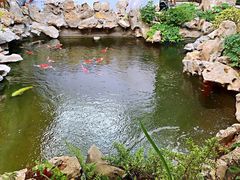 -鲤院·新中式美学·庭院餐厅(夫子庙店)