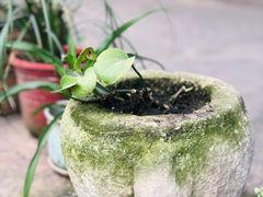 -磁器口古镇