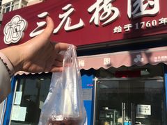 大酪干-三元梅园(新源里店)