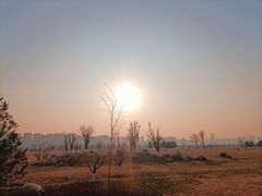 -汉长安城未央宫国家考古遗址公园