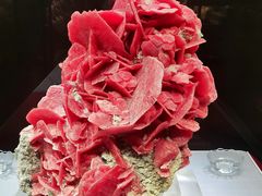 -湖南省地质博物馆