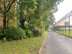 -上海英国外籍人员子女学校(浦西校区)