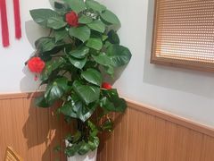 -花鸟鱼私家小厨·川菜(文殊院店)
