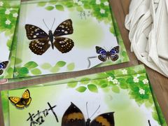 -上海昆虫博物馆