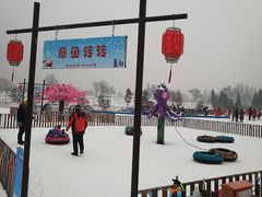 -绿野森林乐园冰雪季