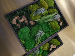 -青花椒花椒鱼(合生汇店)