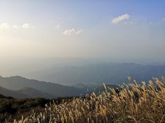 -大围山国家森林公园