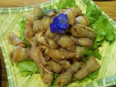 凉菜-黄寺蒸汽海鲜(黄寺大街店)