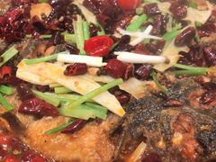 老板恋上鱼-老板恋上鱼(高新万达店)