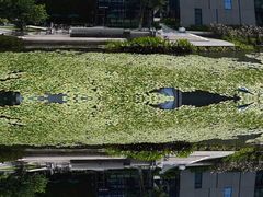 -星巴克(深圳前海企业公馆店)