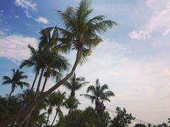 -巴拉湾海滩
