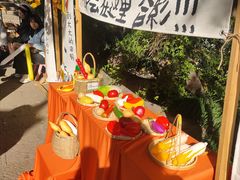 -杭州半山国家森林公园