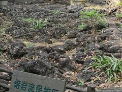 -海口火山口国家地质公园