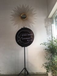 -蚂蚁造型沙龙