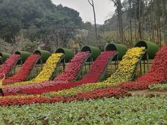 -广州市石门国家森林公园