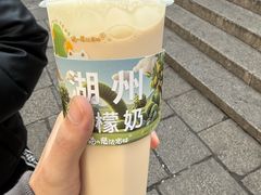 -猫的魔法密林(衣裳街店)