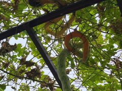 -中国天府农业博览园