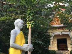 -西双版纳勐泐文化旅游区