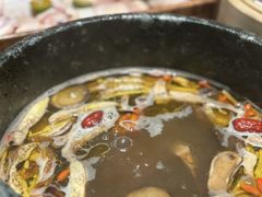 -蘑界·野生菌火锅(深业上城店)