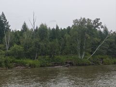 -莫尔道嘎国家森林公园