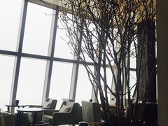 -上海柏悦酒店·世纪100牛排馆