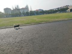 -同济大学(沪西校区)