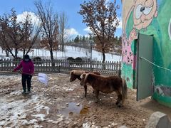 -鄂尔多斯野生动物园