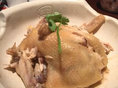 手撕盐焗鸡-客语客家菜(东山口店)