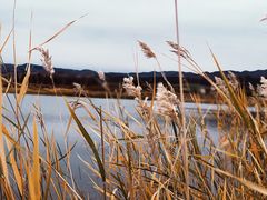 -敕勒川草原文化旅游区