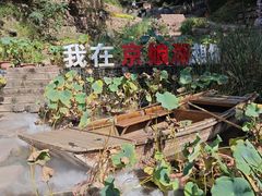 -京娘湖风景区