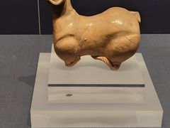 -温州博物馆