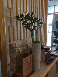 -肥三针腧穴瘦身馆