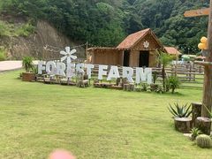 -龙岩森林水乡景区